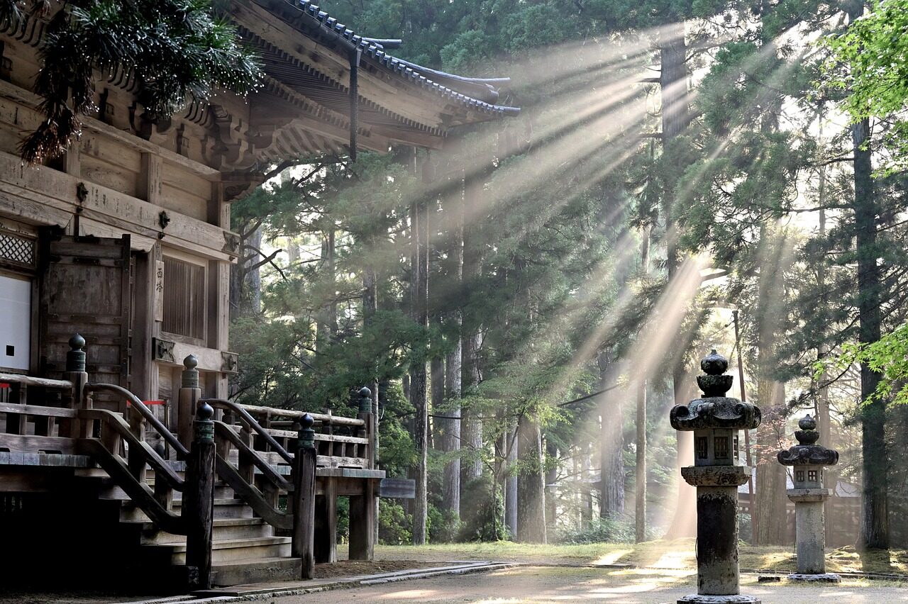 sun rays, forest, koyasan temple, fog, sun beams, nature, trees, japan